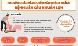 Ngành Y tế khuyến cáo thay đổi thói quen ăn uống để phòng liên cầu lợn