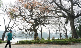 Miền Bắc hửng nắng ấm trước khi đón không khí lạnh mạnh
