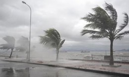 Bão xuất hiện ngay từ đầu tháng 1 có bất thường?