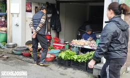Hà Nội tạo điều kiện để tiểu thương từ 'chợ cóc' vào các chợ dân sinh