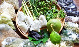 Liệu pháp thảo dược giúp nuôi dưỡng tóc và da đầu mùa đông