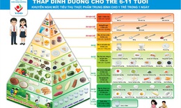 Dinh dưỡng học đường theo tháp dinh dưỡng: Nền tảng cho thể lực, trí lực và tầm vóc tương lai