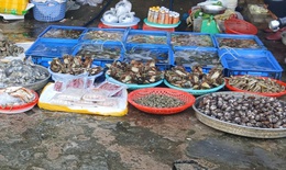 Siết chặt bảo đảm an toàn thực phẩm dịp Tết ở Khánh Hòa