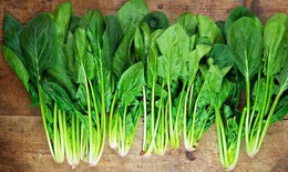 5 loại rau mùa đông giàu chất xơ tốt cho tiêu hóa