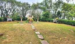 Diện mạo mới tại ‘huyệt đạo thiêng’ trên đỉnh Ngàn Nưa