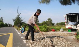 Giáp Tết, kiệu được giá, nông dân Đà Nẵng phấn khởi thu hoạch