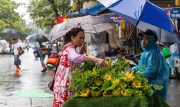 Cảnh báo mưa dông khu vực nội thành Hà Nội vào chiều nay