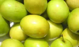 Táo ta có tác dụng gì?