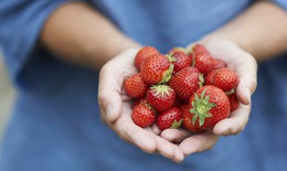 6 lý do bạn nên ăn dâu tây mỗi ngày