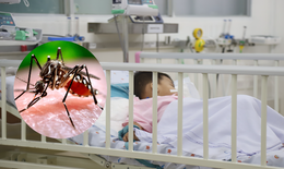 Số ca mắc sốt xuất huyết, tay chân miệng ở TPHCM giảm nhưng nguy cơ vẫn hiện hữu