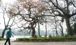 Miền Bắc ấm dần từ nay đến cuối tháng 1