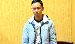 Liên tiếp bắt giữ các vụ vận chuyển động vật quý hiếm