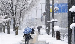 Tuyết rơi kỷ lục ở Nhật Bản gây tê liệt giao thông, ít nhất 4 người tử vong