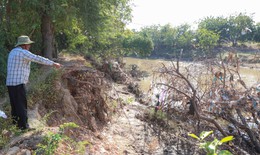 Sạt lở bờ sông Lu, người dân ở Khánh Hòa gặp khó