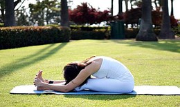 Trời lạnh ngày Tết, khớp dễ cứng đau, làm gì để cơ thể dễ chịu hơn?