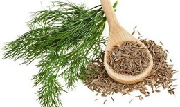 Loại rau gia vị bán khắp chợ không ngờ lại có nhiều tác dụng quý