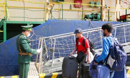 Hải Phòng tăng cường giám sát phòng, chống bệnh do virus Nipah