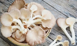 4 nguồn thực phẩm bù đắp lượng vitamin D bị thiếu hụt trong mùa đông