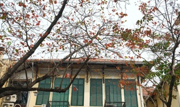 Miền Bắc nắng mạnh, nhiệt tăng trước khi đón không khí lạnh