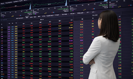 Chứng khoán ngày 29/1 lấy lại sắc xanh