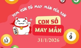 Con số may mắn hôm nay 31/1 - số cát lành - số tài lộc 12 con giáp ngày mới