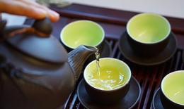 Chén trà xanh tiếp khách đầu năm: Bí quyết chống lão hóa và ngăn ngừa tích mỡ bụng