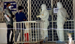 WHO: Nguy cơ lây lan virus Nipah tại Ấn Độ ở mức thấp