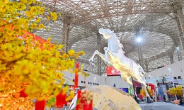 Hình ảnh mới nhất về Hội chợ Mùa Xuân 2026 trước ngày khai mạc