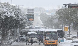 Hàn Quốc: Rét đậm kéo dài làm nhiều người tử vong và nhập viện