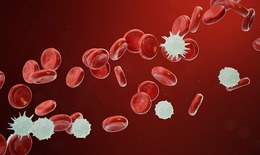 Phát hiện manh mối mới giúp ngăn ung thư tái phát