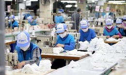 Thu nhập bình quân của người lao động năm 2025 đạt 8,4 triệu đồng/tháng