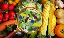 Chuyên gia chống độc 'hiến kế' 3 bước then chốt chặn đứng nguy cơ ngộ độc thực phẩm