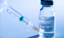 Bayer kiện các 'ông lớn' vaccine ngừa COVID-19 về bằng sáng chế