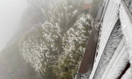 Băng giá phủ trắng đỉnh Fansipan sáng nay