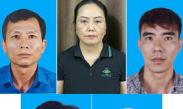 Thông tin mới vụ hơn 120 tấn thịt lợn nhiễm dịch tả châu Phi tại Công ty CP Đồ hộp Hạ Long