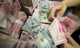 Tỷ giá hôm nay 8/1: Đồng USD tăng giá, NDT đảo chiều giảm