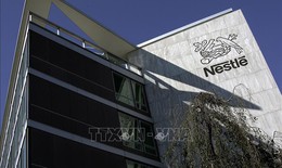 Thêm nhiều nước thu hồi sản phẩm sữa công thức của Nestle