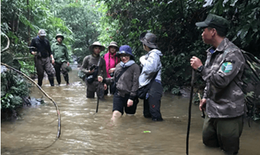 Nhân nuôi loài gà quý hiếm có nguy cơ tuyệt chủng trong tự nhiên