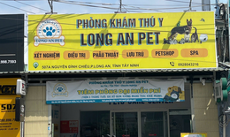 Chung tay đẩy lùi bệnh dại với chương trình tri ân cùng Phòng khám Thú Y Long An Pet