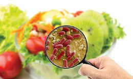 Bộ Y tế vào cuộc vụ nghi ngộ độc sau ăn hạt của cây củ đậu khiến 6 người cấp cứu, 2 ca hôn mê