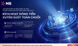 MB tiên phong triển khai Nền tảng Tài trợ chuỗi cung ứng đa tầng