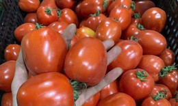 Chế độ dinh dưỡng phù hợp khi điều trị ung thư tuyến tiền liệt