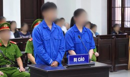 Dùng hóa chất sản xuất giá đỗ, hai chủ cơ sở lĩnh án tù