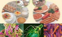 Bộ Y tế: Chủ động giám sát mối nguy ô nhiễm thực phẩm, phòng ngừa ngộ độc