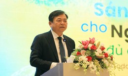 Ngày lương thực thế giới, phát triển bền vững 1 triệu ha lúa chất lượng cao
