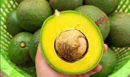 8 thực phẩm giúp chị em chăm sóc làn da mùa hanh khô