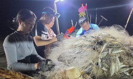 Ngư dân Hà Tĩnh trúng đậm cá bạc má