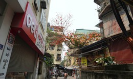 Miền Bắc tiếp tục nắng hanh trước khi đón không khí lạnh