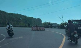 Lập biên bản xử phạt 6 phụ nữ ngồi giữa đường đèo Hải Vân chụp ảnh