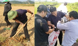 Bí thư, Chủ tịch xã xắn quần lội đồng đi bắt chuột cùng người dân